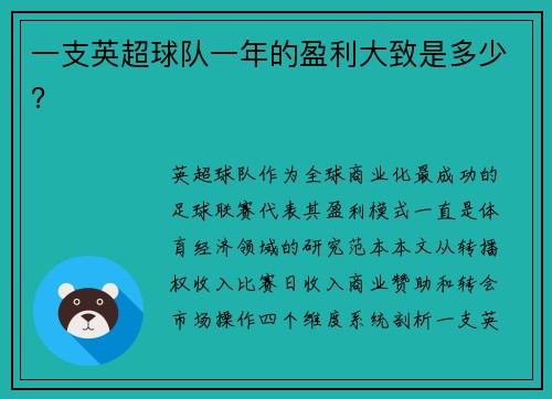 一支英超球队一年的盈利大致是多少？